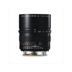 Leica APO-Summicrom-M 75mm F/2 ASPH