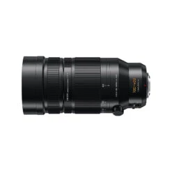 Panasonic Leica DG Vario 100-400mm F4-6,3