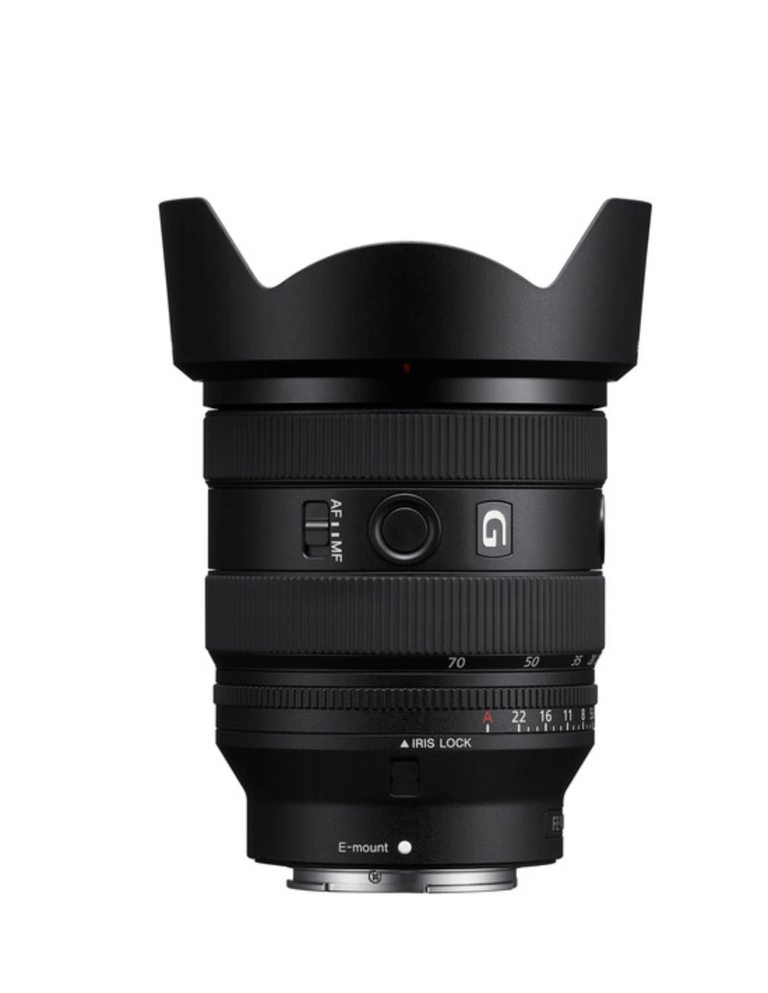 Sony FE 20-70mm F4 G - Imagen 6