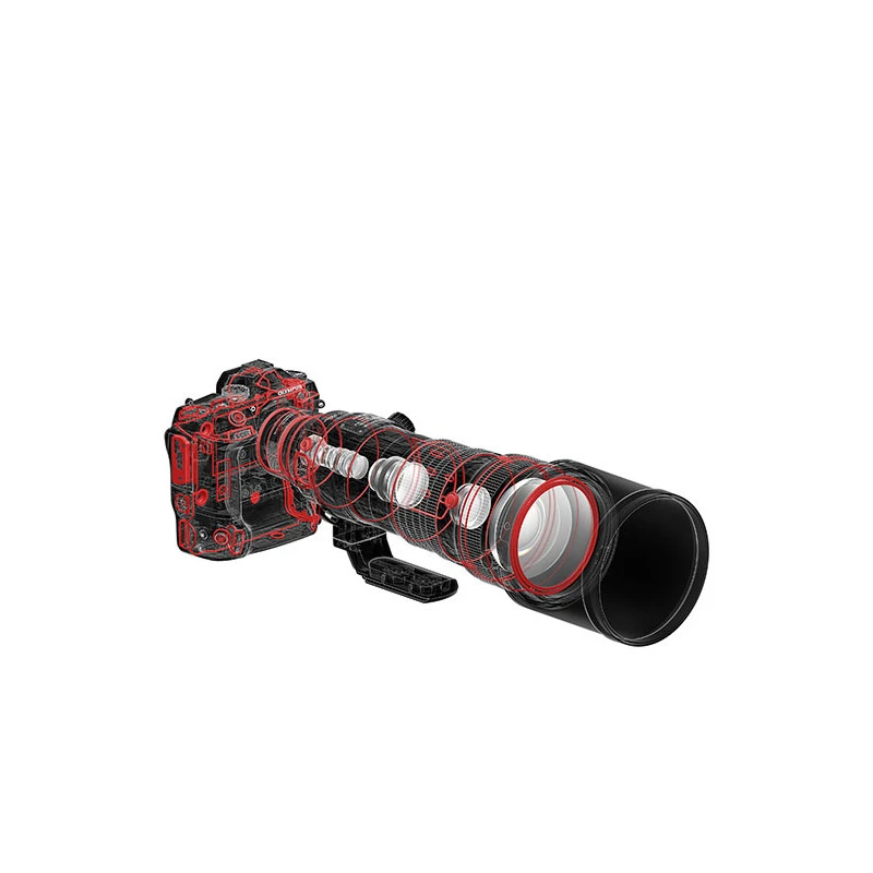 Olympus M.ZUIKO ED 150-400mm F4.5 TC1.25x IS PRO - Imagen 5